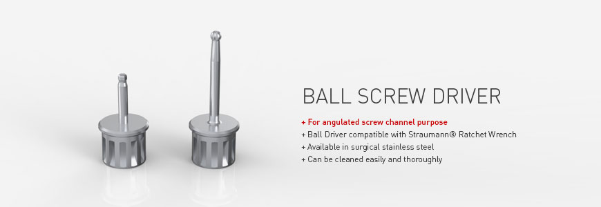 Ball Screw Driver